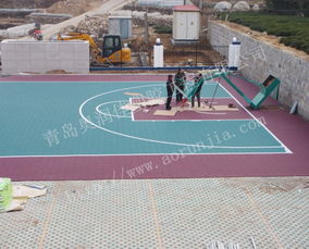 奧潤佳塑膠球場 籃球場新型材料鋪裝與場地建設創新實踐